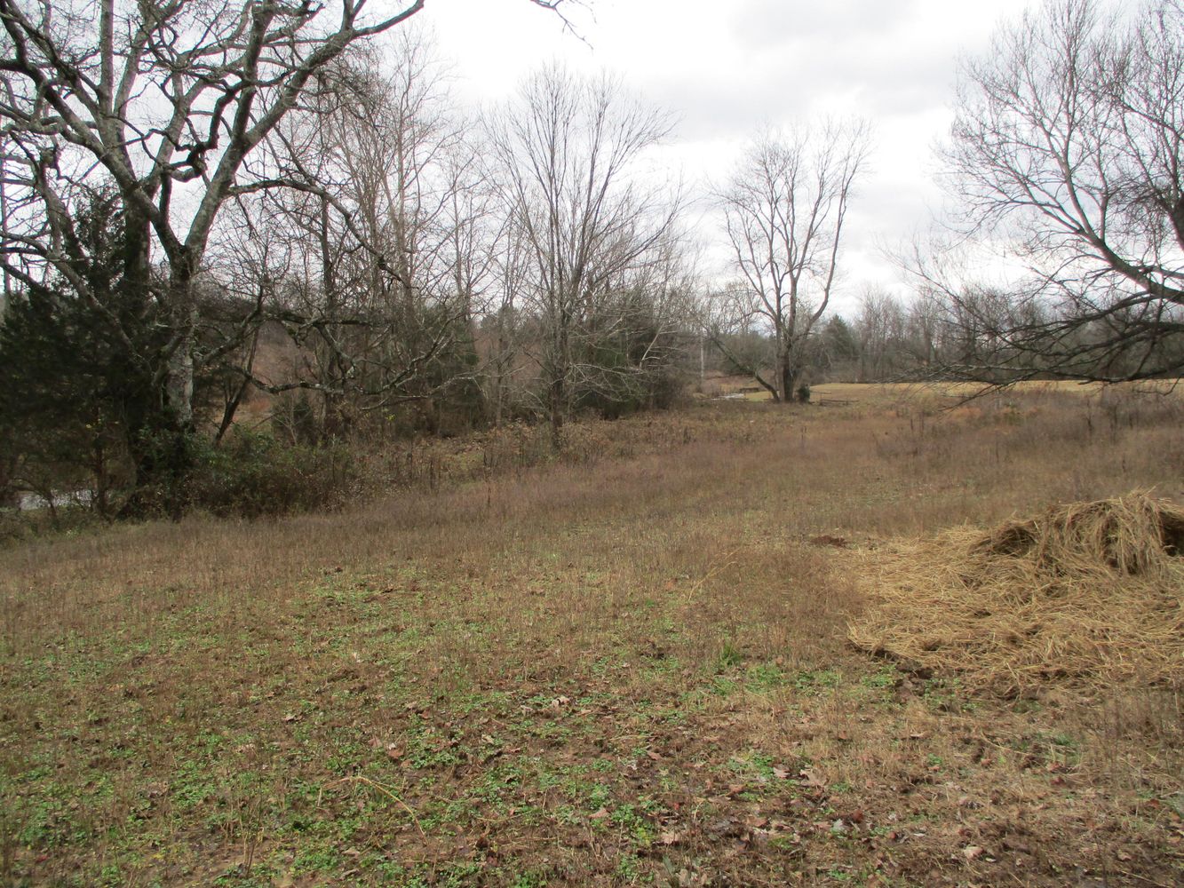 Highway 11 & County Rd 716: Highway 11 & County Rd 716, Riceville, TN 37370
